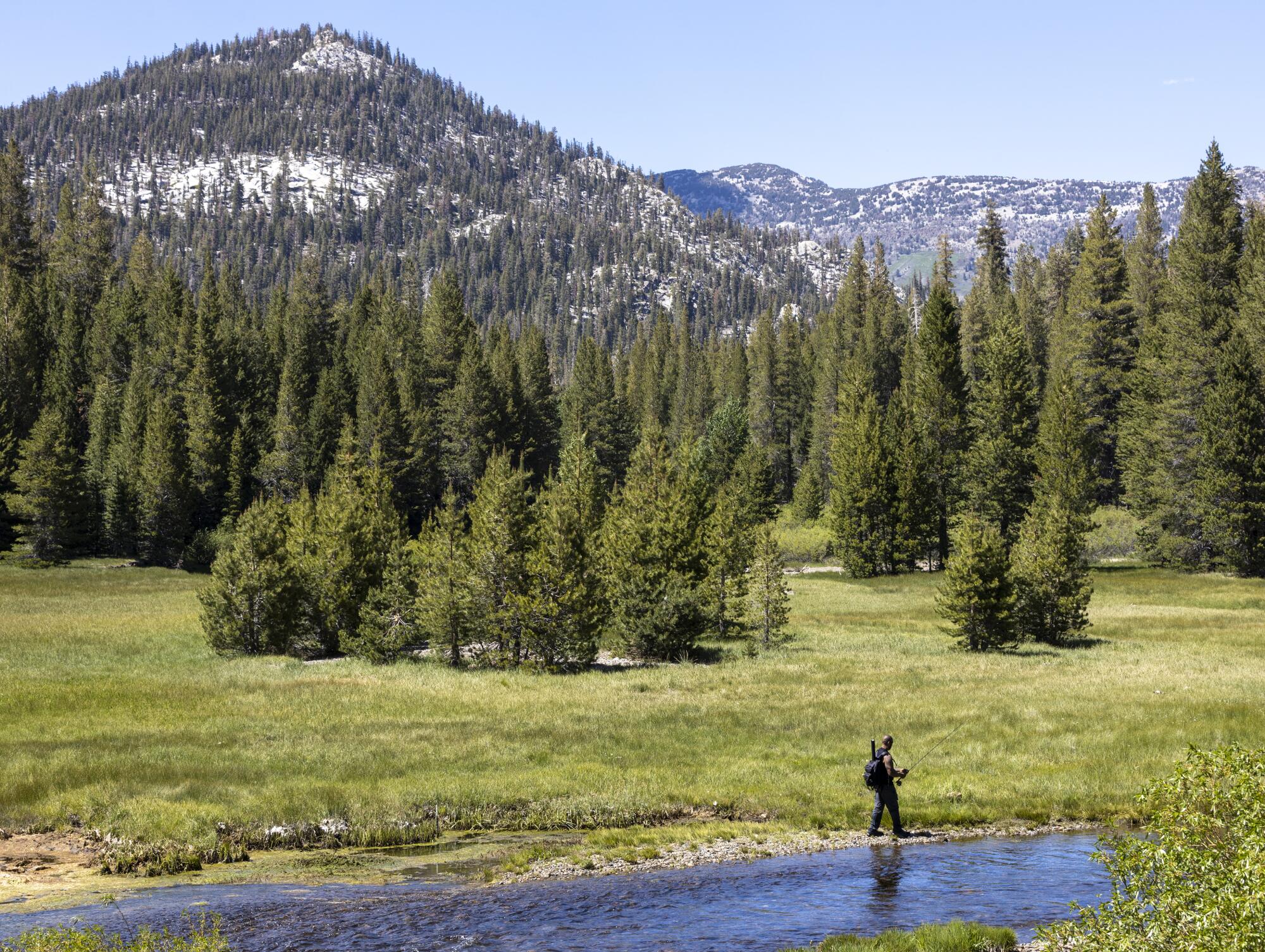 In a meadow, a hiker stands on a river's bank.