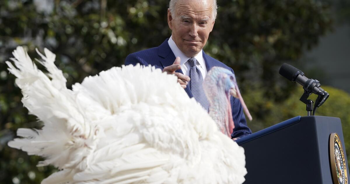Abcarian: President Biden just celebrated his birthday. So should voters. Abcarian: President Biden just celebrated his birthday. So should voters.