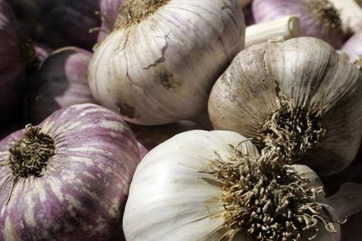 Heads of garlic.
