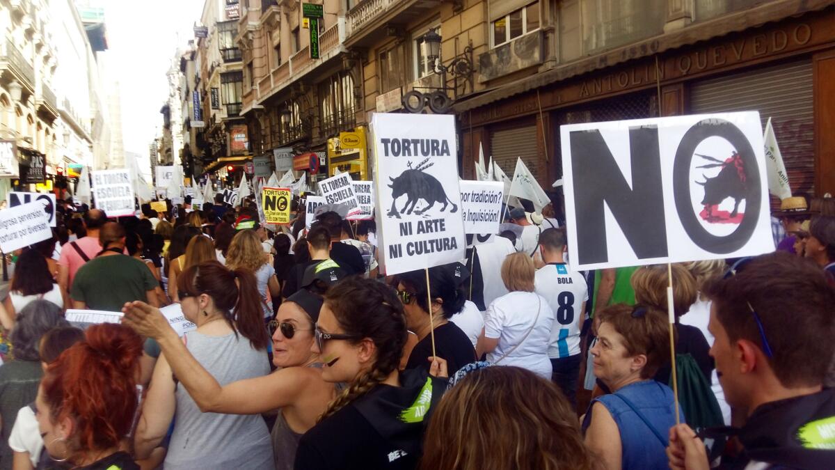 Thousands of people took to the streets of Madrid on Sept. 10 for the largest anti-bullfighting march the city has seen in years. Some of the placards read: "Bullfighting, school of cruelty" and "Torture — neither art nor culture."
