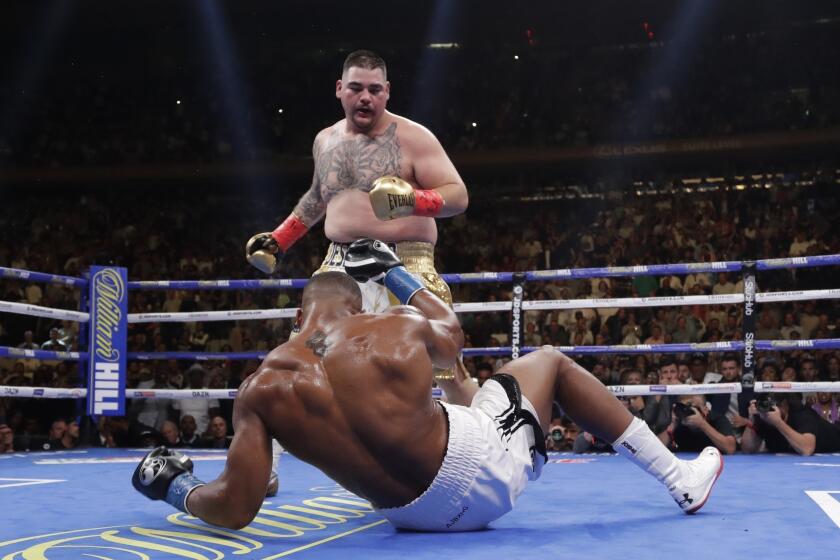ARCHIVO - El mexicano Andy Ruiz noquea al británico Anthony Joshua en una pelea por el cetro de los pesados, el 1 de junio de 2019, en Nueva York (AP Foto/Frank Franklin II, archivo)