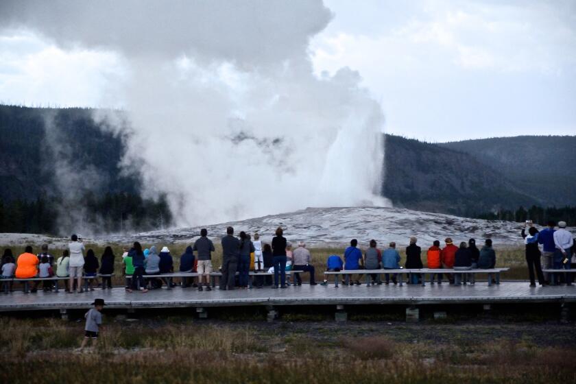 The marquee attraction of Yellowstone National Park, Old Faithful geyser goes off about every 90 minutes. Eruptions can last from 90 seconds to five minutes.