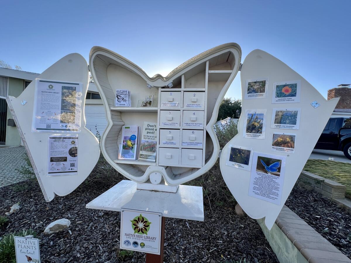 A native seed library has sprouted on Mount Soledad in La Jolla to promote biodiversity.