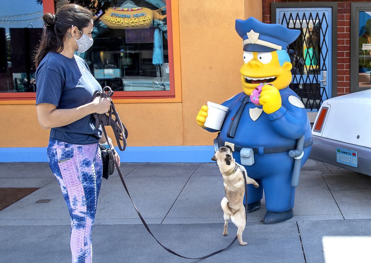 At Universal Studios Hollywood, a woman walks a dog on a leash that's sniffing a statue of "The Simpsons'" Chief Wiggum.