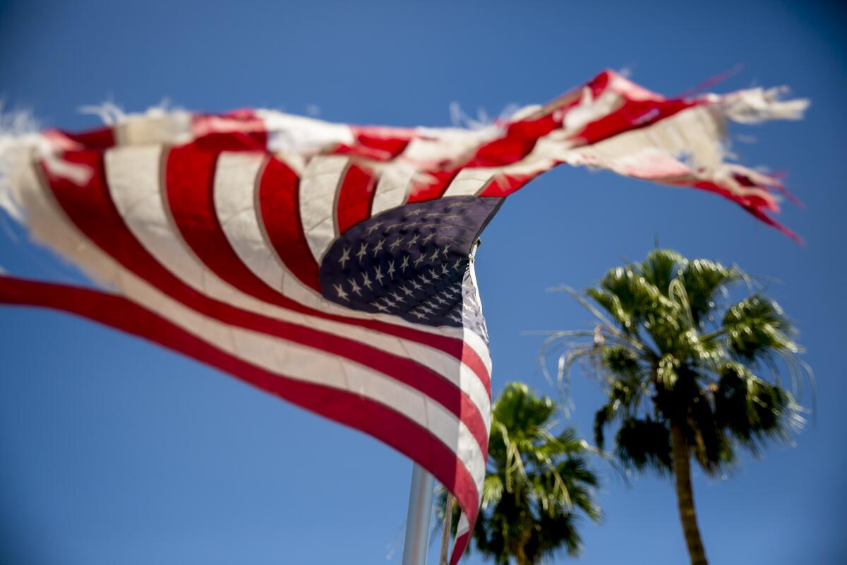 An American flag with frayed edges flaps in the wind in front of two palm trees and a blue sky.