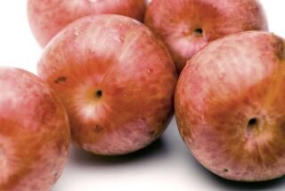Pluots are a cross of two stone fruits — plums and apricots.