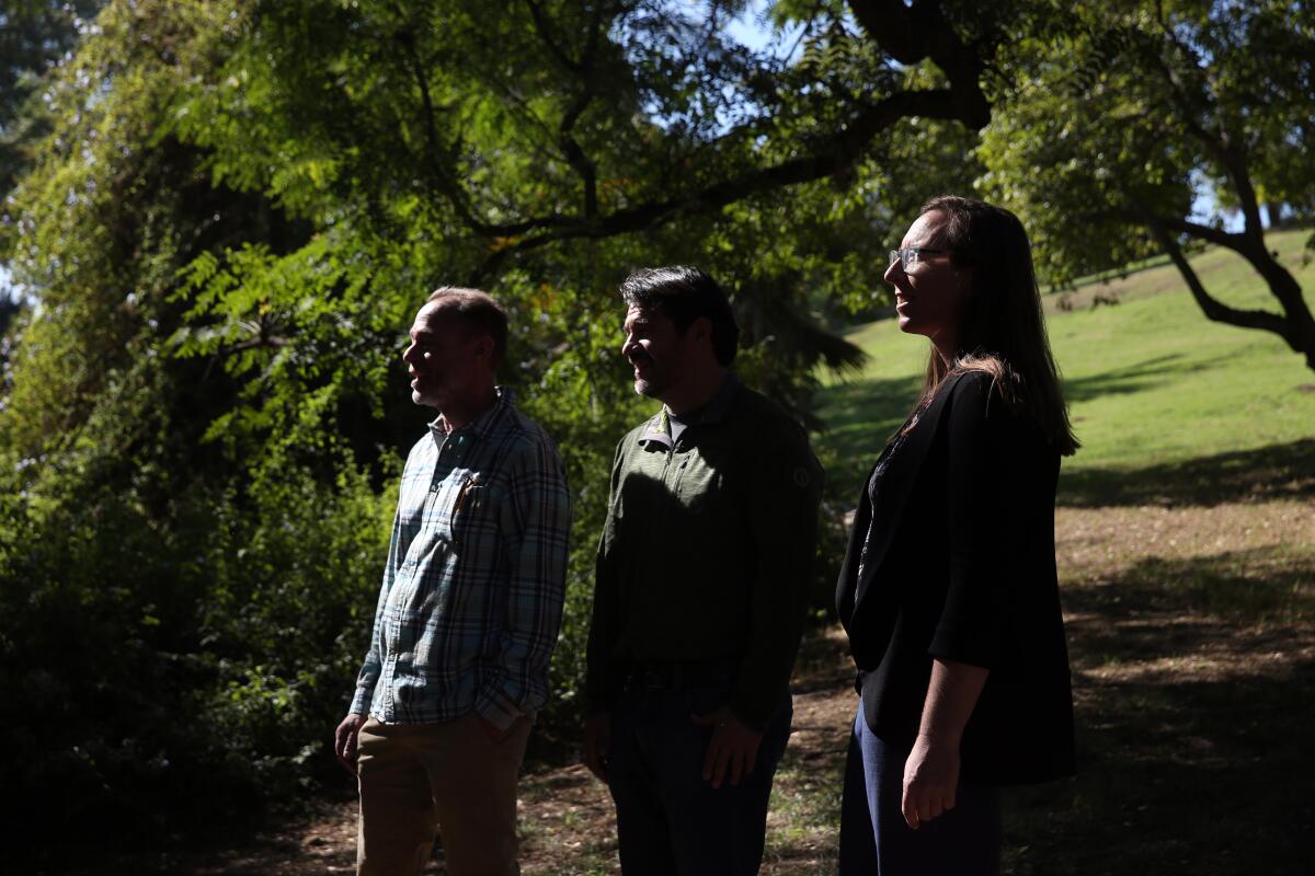 Tree surgeon Leon Boroditsky, left, forest officer Rachel Malarich and Long Beach City College horticulture professor Jorge Ochoa have been tracking tree health and growth in L.A. for years.