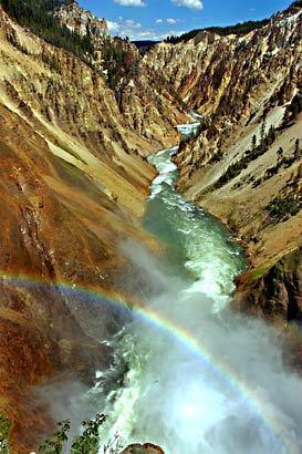 A rainbow bends over the Lower Falls of the Grand Canyon of the Yellowstone River in Yellowstone National Park.