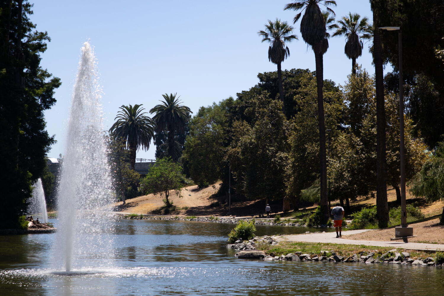 Body recovered from lake at Hollenbeck Park in Boyle Heights
