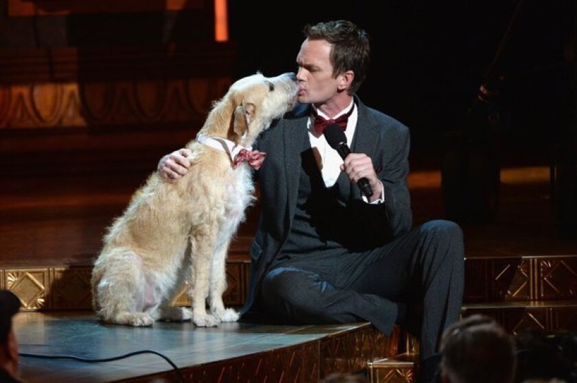 Tony Awards host Neil Patrick Harris shares a moment with Sandy from the musical "Annie" during Sunday's telecast from Radio City Music Hall in New York.