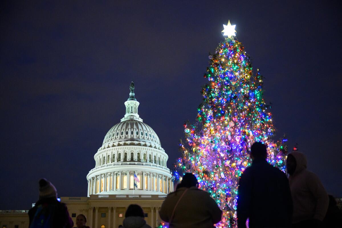 A night view of a lighted up tree with the Capitol in the background 