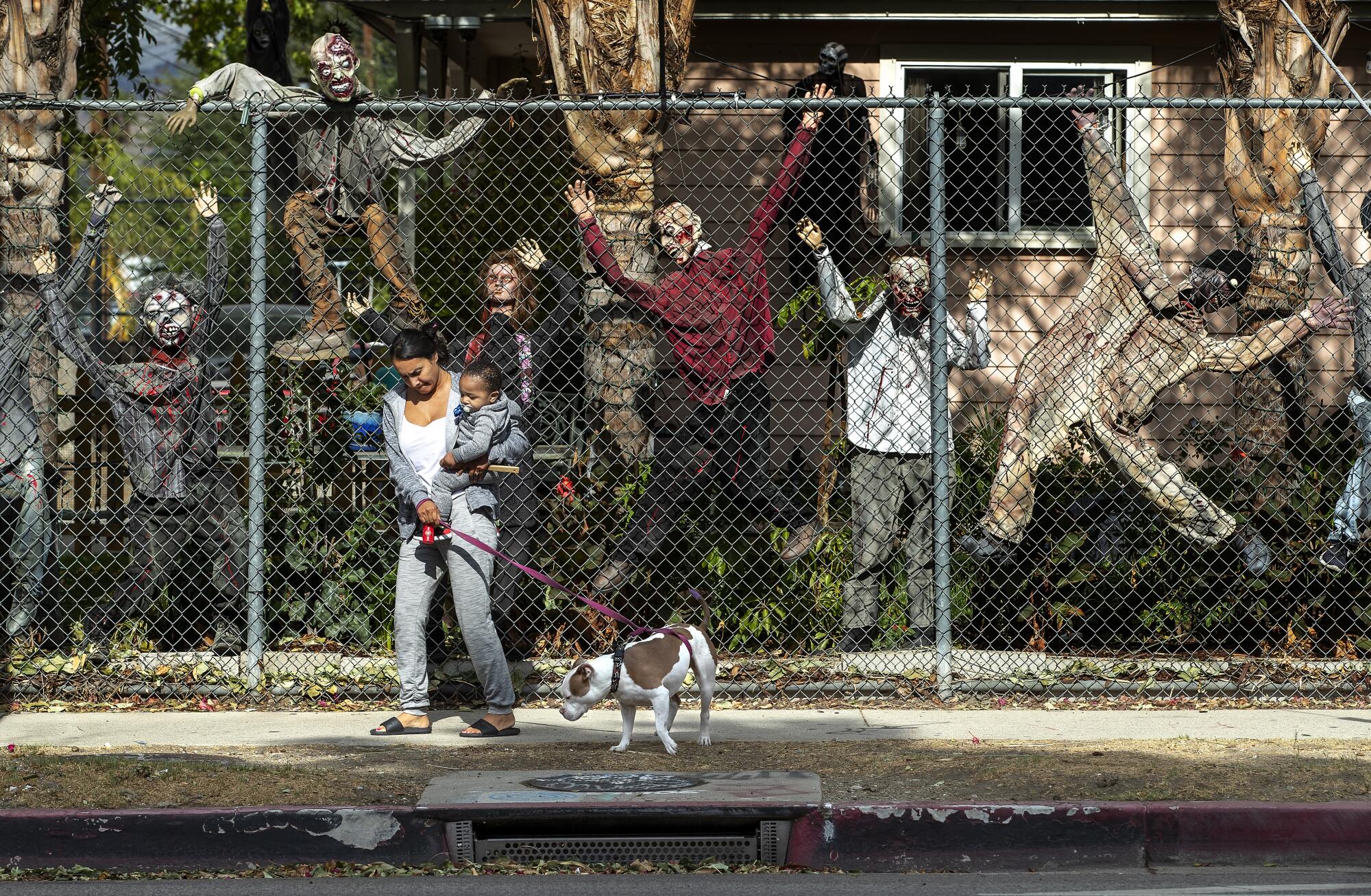 Zombies attempt to climb the fence as Sonia Tapia walks with her son, Josiah Green, 1, and dog, Cookie, outside their home