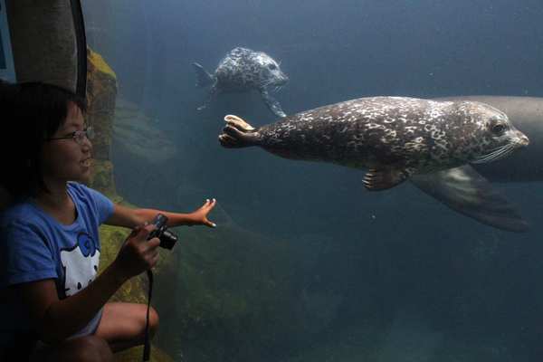 Michele Momita, 9, of Torrance photographs Bixby at the Aquarium of the Pacific in Long Beach.