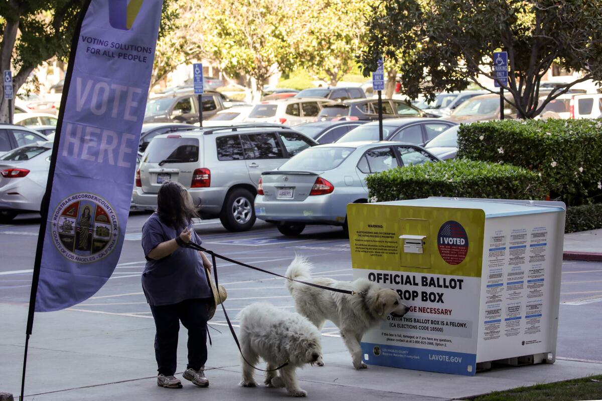 A woman on a windy day walks by a ballot drop box 