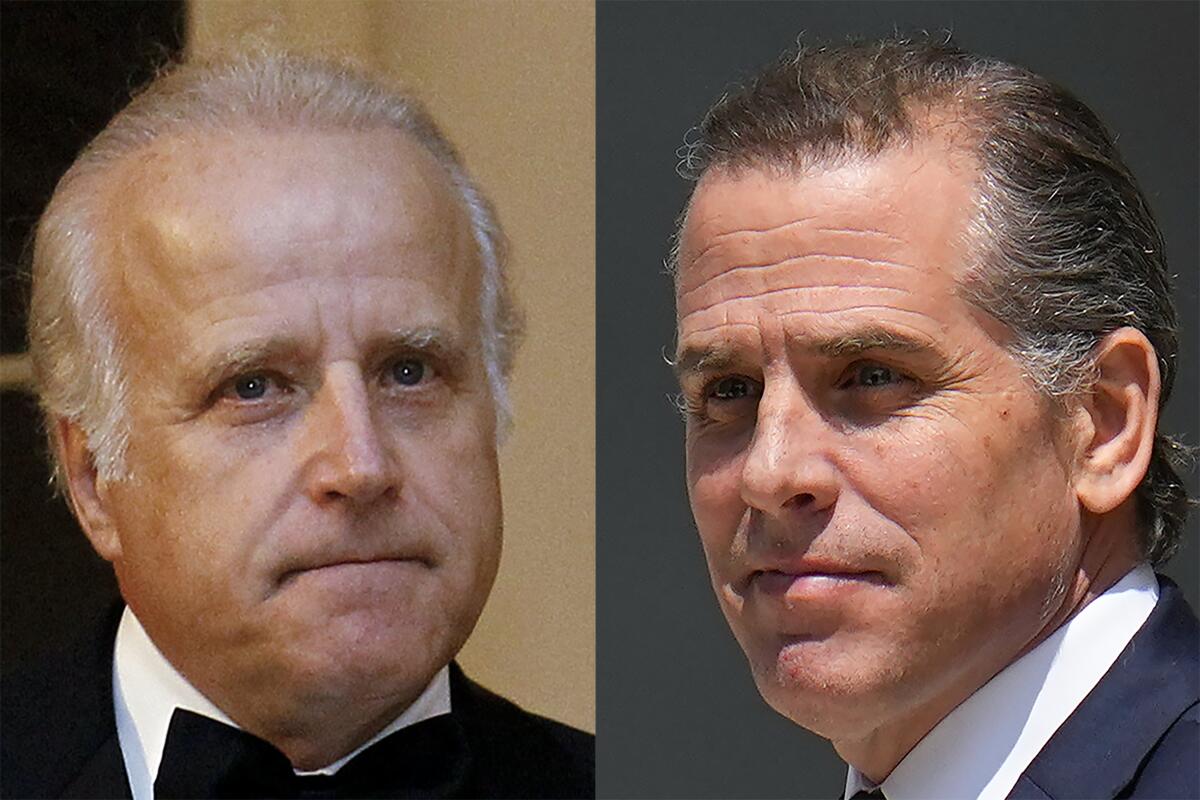 Side-by-side closeups of James Biden and Hunter Biden