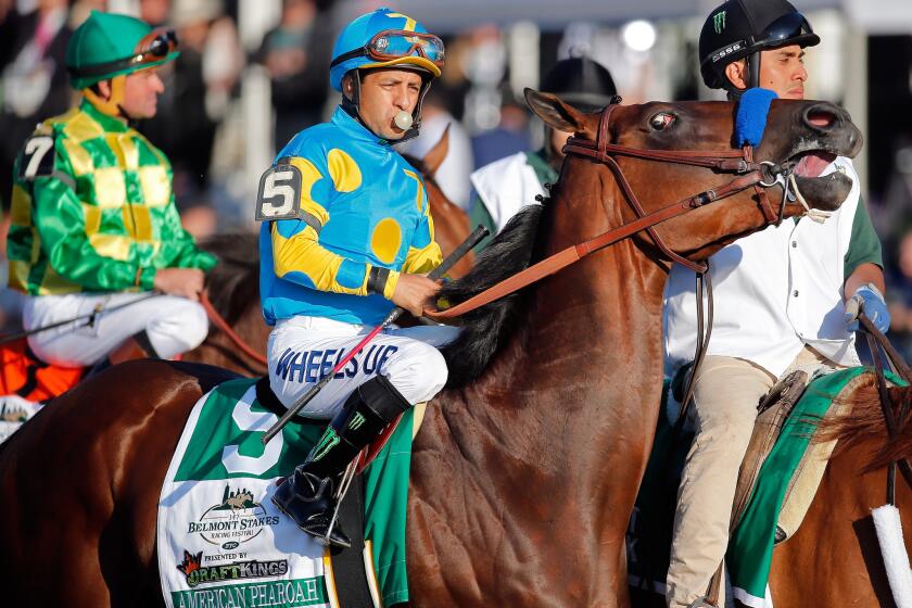 American Pharoah and jockey Victor Espinoza head to the starting gate for the 147th Belmont Stakes on Saturday.