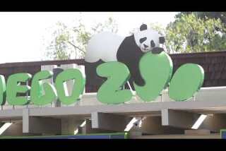 Watchdog Minute: America's most expensive zoo