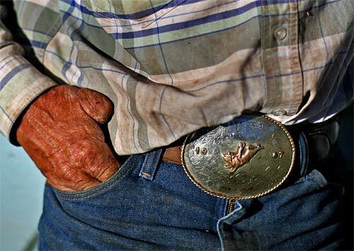 Ben Marlin is a local wrangler who has been riding in the Gila Wilderness area for the last 15 years. The native Nebraskan used to live in California but has become addicted to the Gila. Marlin's hands show the wear and tear of wrangling and his belt buckle the evidence of a first place win at a rodeo in 1967.