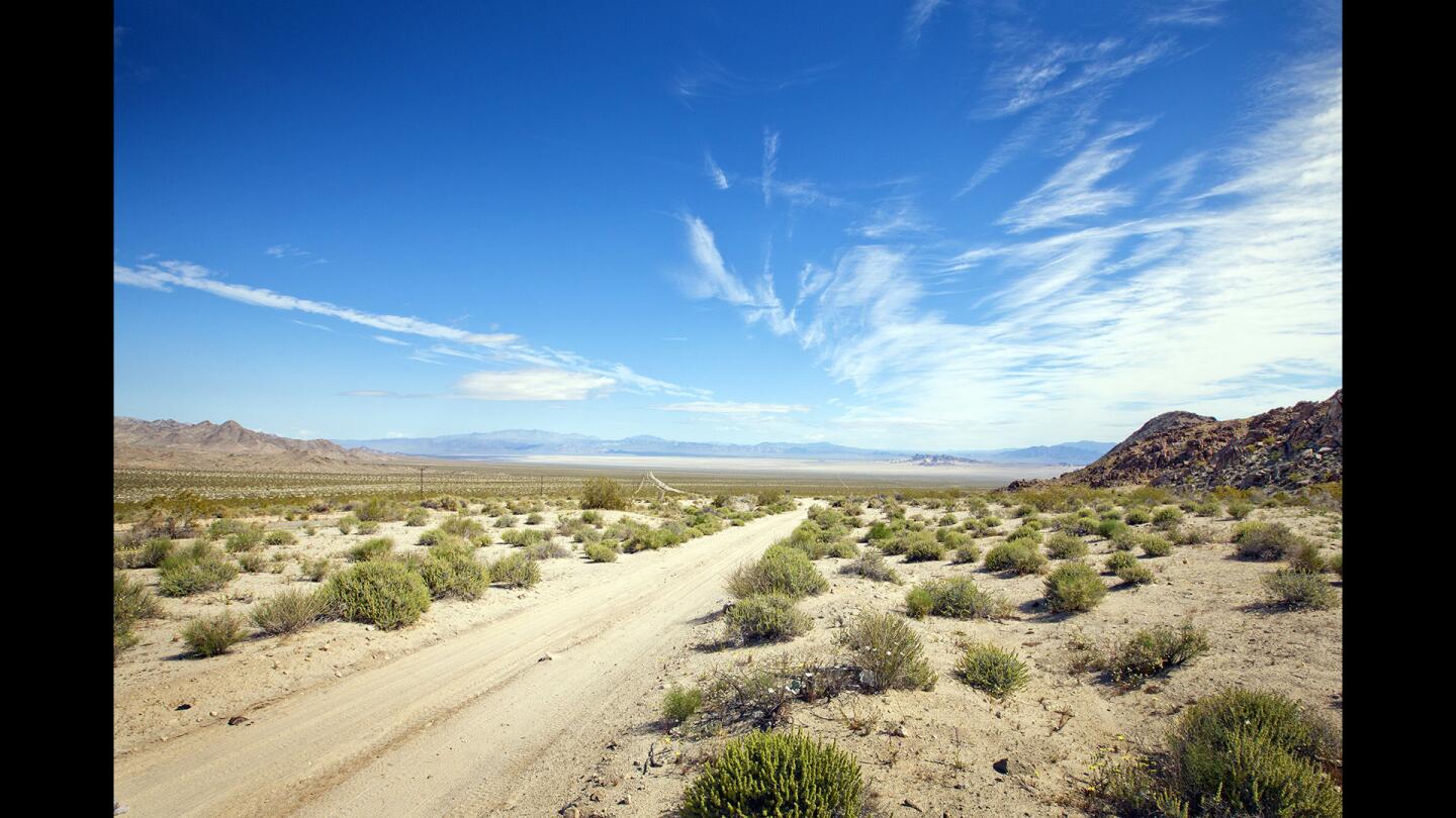Mojave Trails