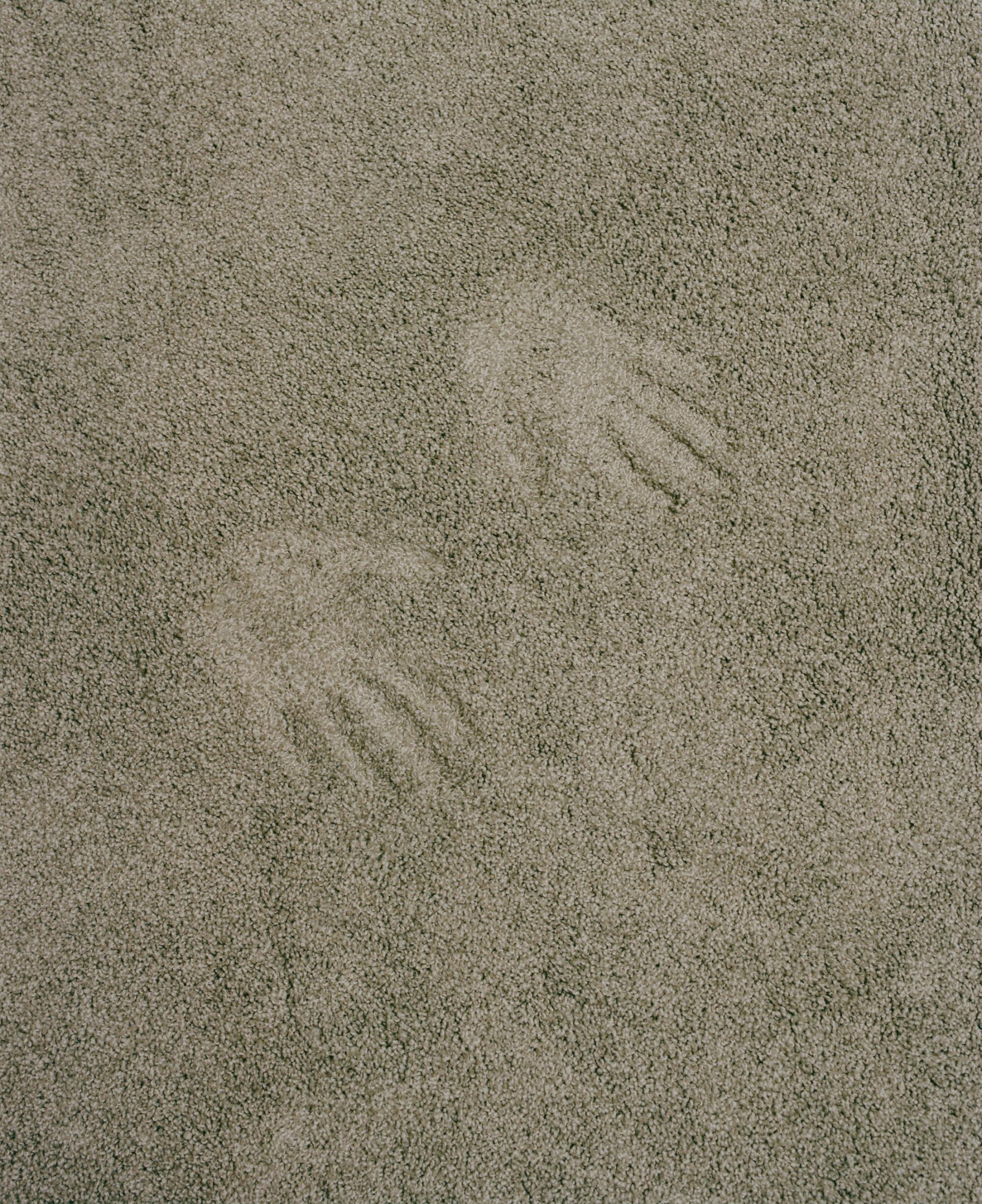 Detail photo of a drab, taupe carpet with two hand prints