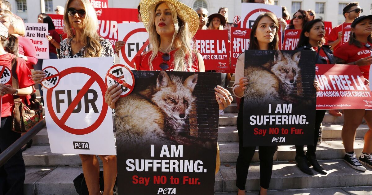 California could ban sale of new fur products with bill sent to Newsom -  Los Angeles Times