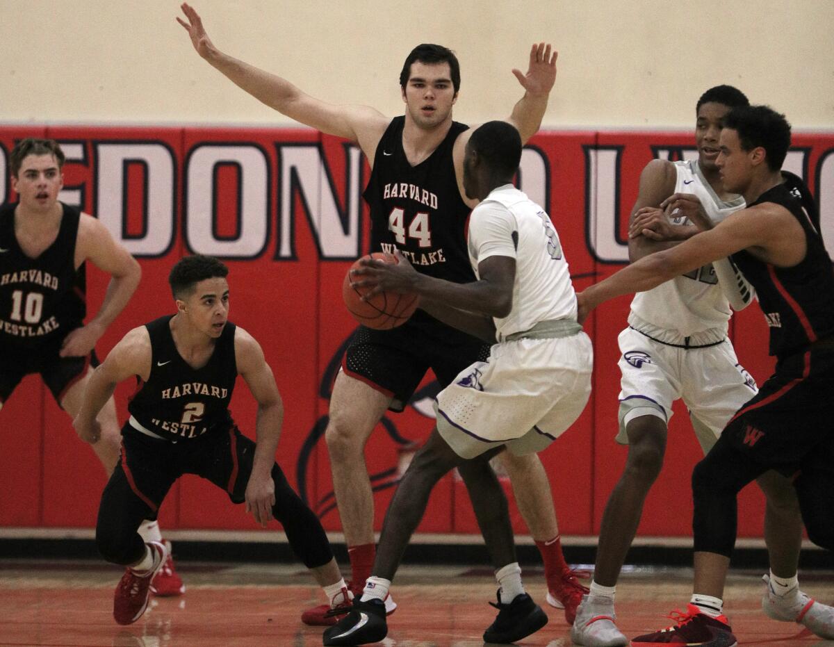 Harvard-Westlake's 6-foot-10 Mason Hooks towers over people on the basketball court while averaging 15 points and 14 rebounds for the Wolverines.