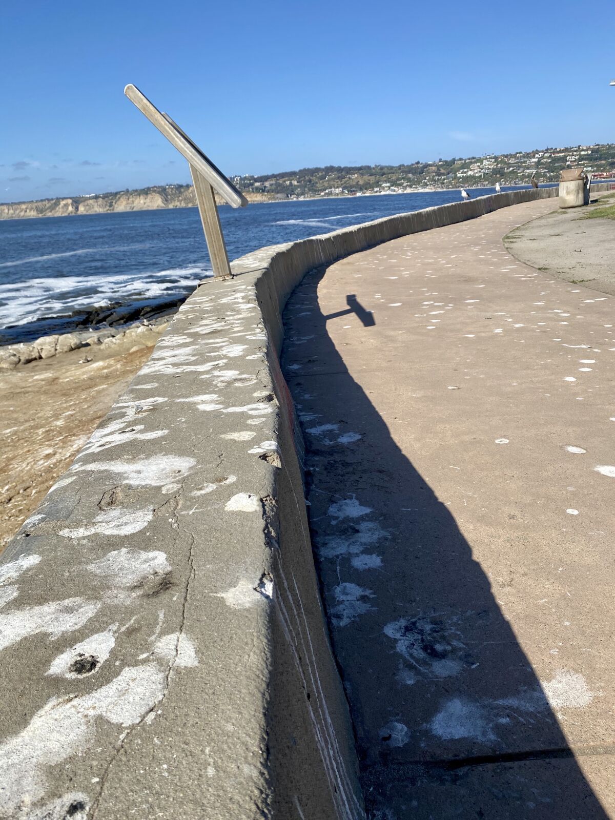 A portion of the La Jolla Cove walkway is covered in bird droppings on May 13.