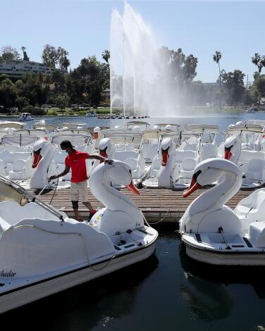 A worker hoses off swan boats at Echo Park Lake.