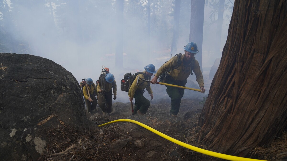 Hot Shot Wildland Fire Crew CDF State of California Division of Forestry the Res 