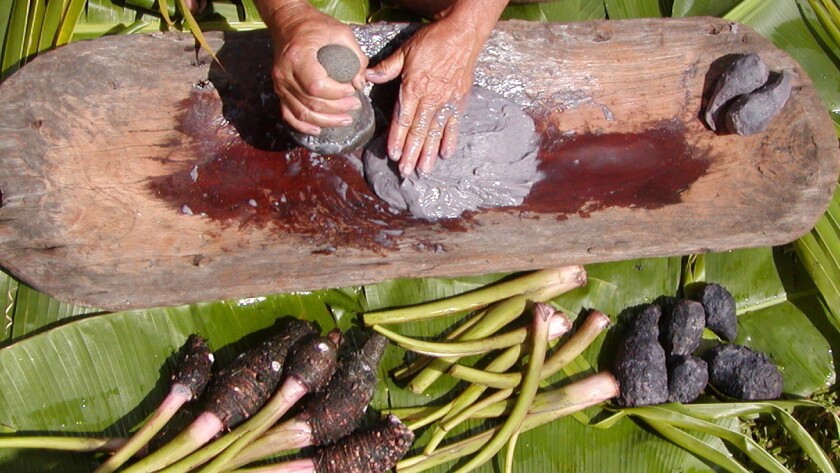 Demonstrations of how the roots of the taro plant are pounded into poi will be part of the April 25 activities at the East Maui Taro Festival.