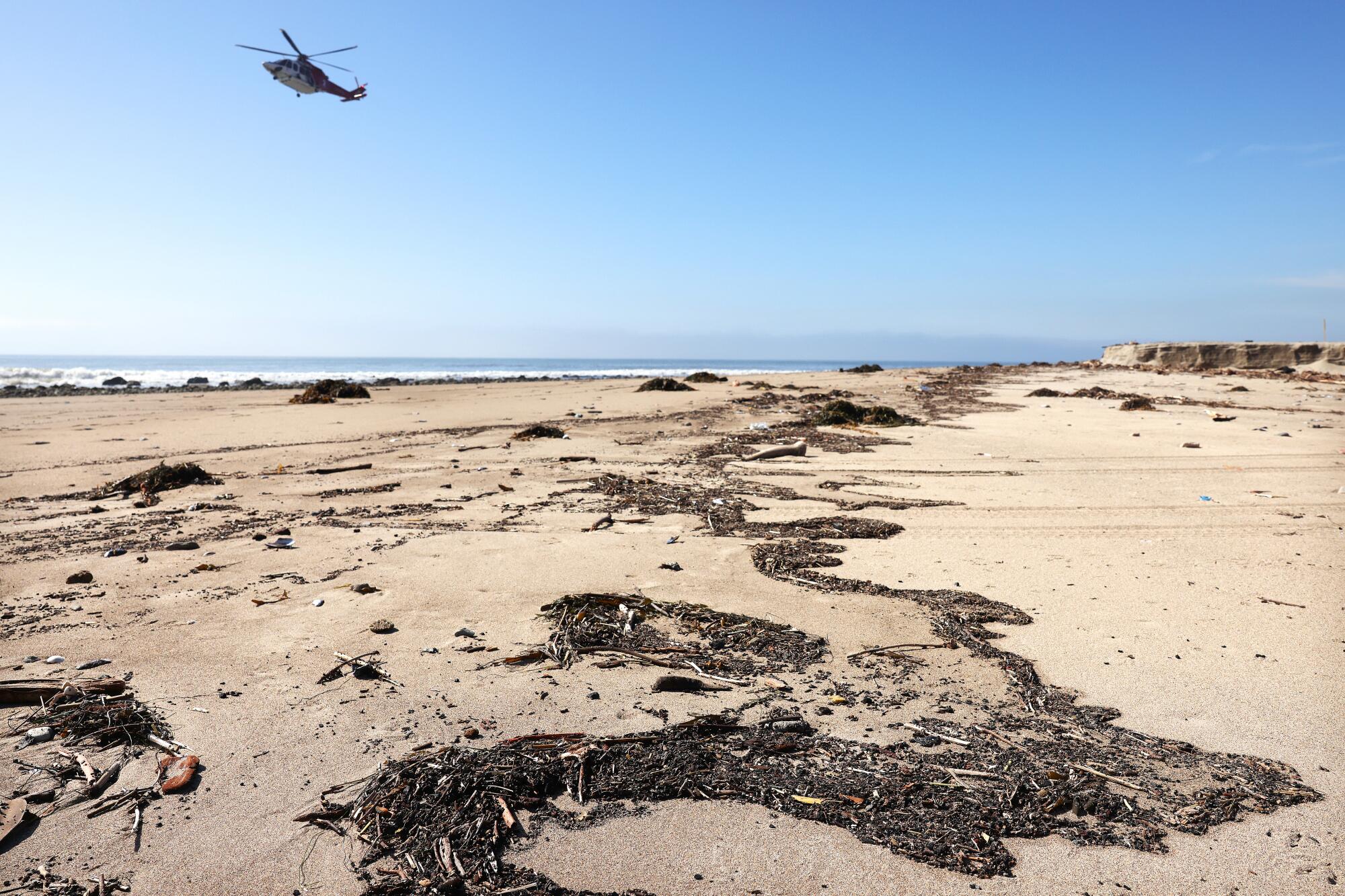 Tiny bits of pulverized fire debris on a beach
