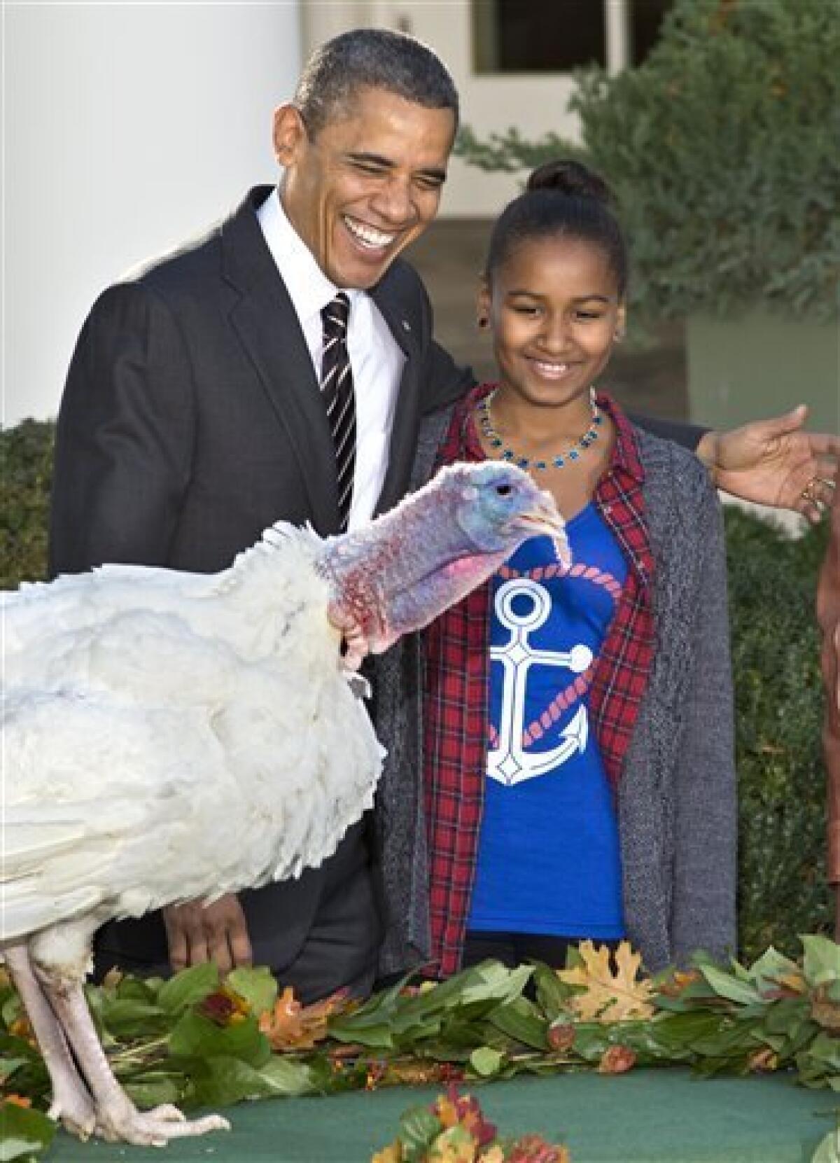 President Barack Obama, with daughter Sasha, carries on the Thanksgiving tradition of saving a turkey from the dinner table with a "presidential pardon," Wednesday, Nov. 21, 2012, in the Rose Garden of the White House in Washington. After the ceremony, "Cobbler" will head to George Washington's historic home in Virginia to be part of the “Christmas at Mount Vernon” exhibition. (AP Photo/J. Scott Applewhite)