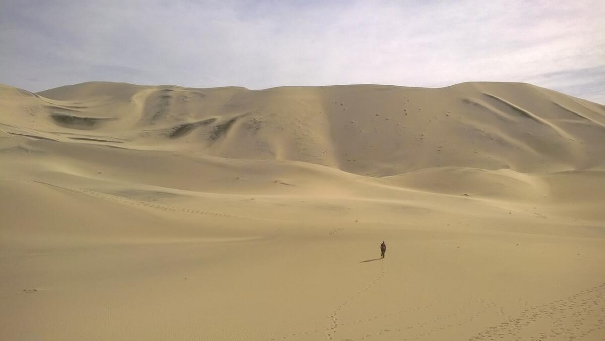 Death Valley National Park reopened access to Eureka Valley, which includes the tallest sand dunes in California.