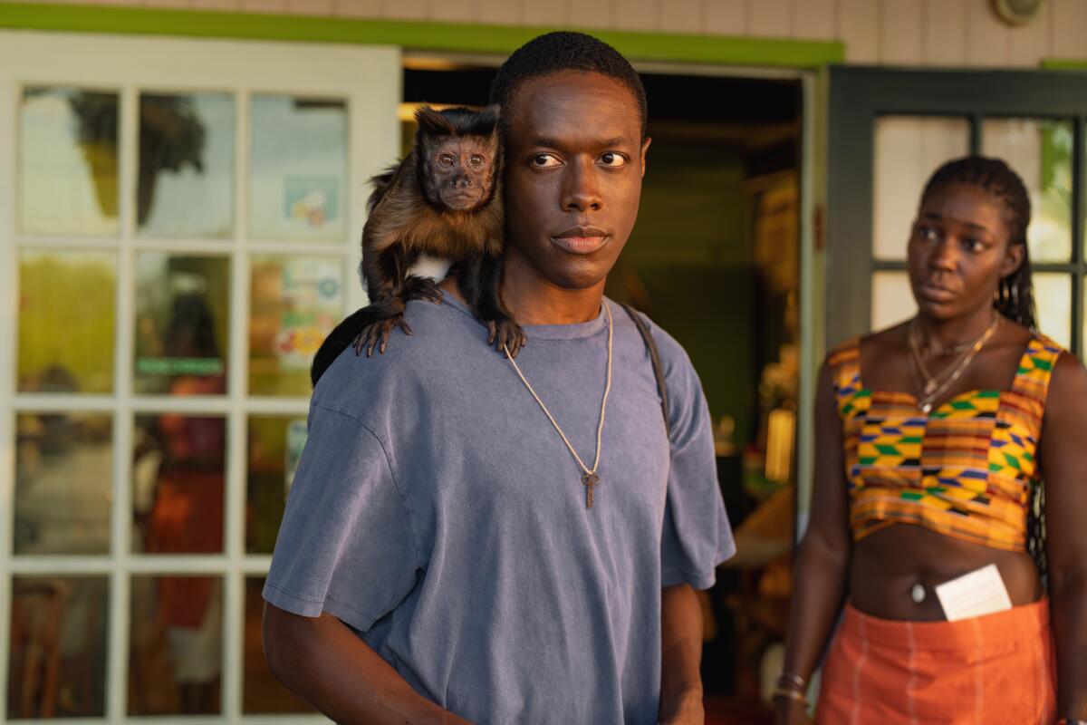 A man in a blue T-shirt with a monkey on his shoulder. A woman stands behind him.