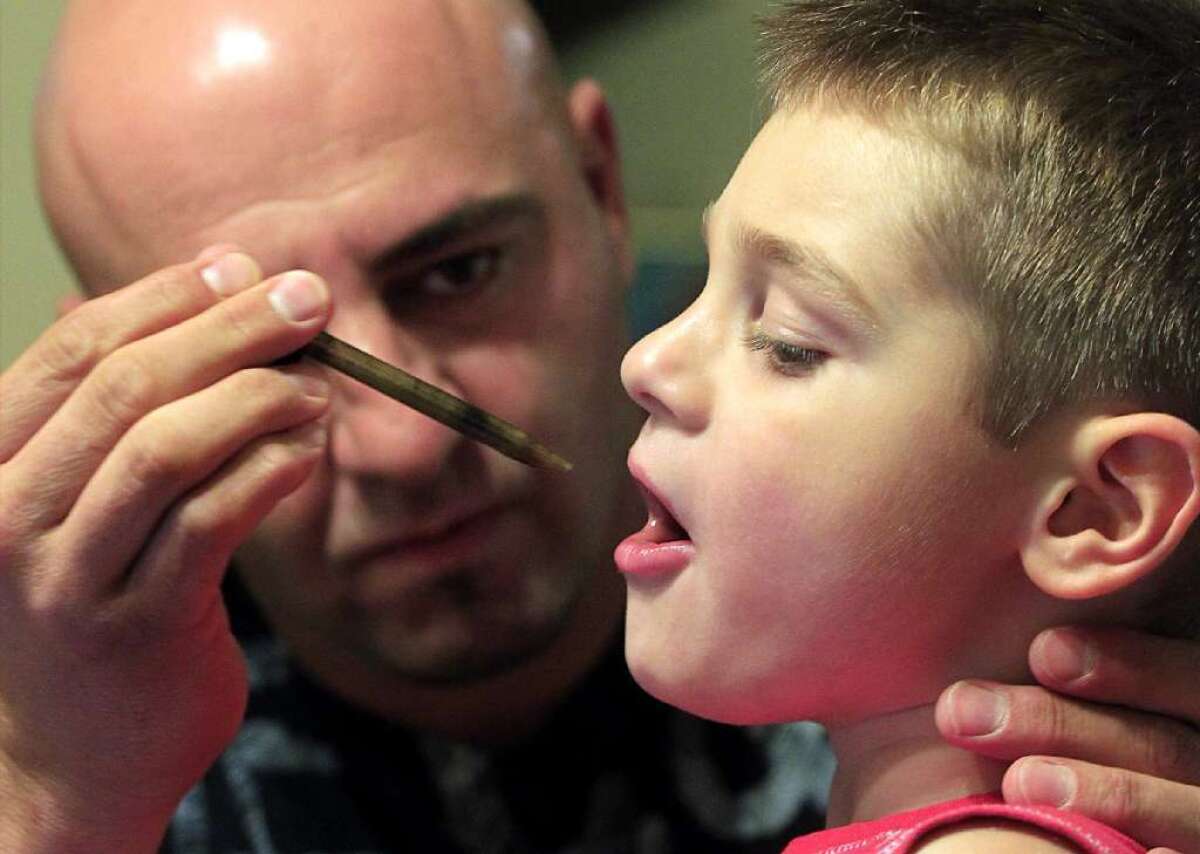 An oral dose of cannabidiol, an extract of marijuana, has been found to reduce seizures in young people with severe epilepsy by more than 50%. In this photo from July 2012, Jason David administers a tincture of marijuana to his son Jayden.