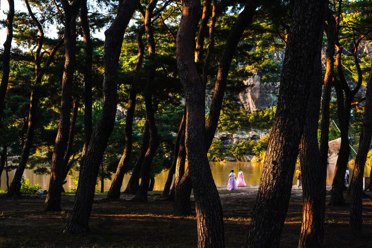 Visitors explore the pine forest at Andong Hahoe Hanok Village, a UNESCO World Heritage site in Andong, South Korea.