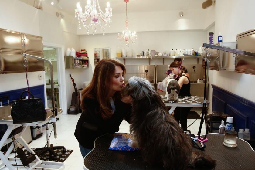 LOS ANGELES, CA-July 19, 2017: Lisa Vanderpump kisses Ollie, who was rescued from a slaughterhouse in China in January, at Vanderpump Dogs in Los Angeles. (Photo By Claire Hannah Collins / Los Angeles Times)