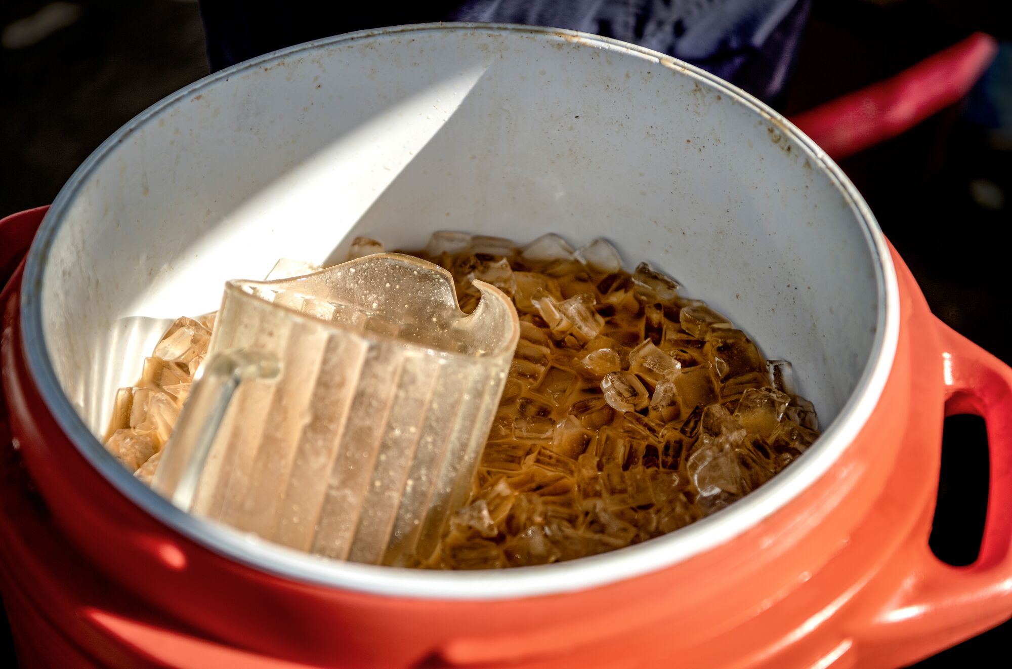 A plastic pitcher floats in a cooler filled with ice and tejuino.