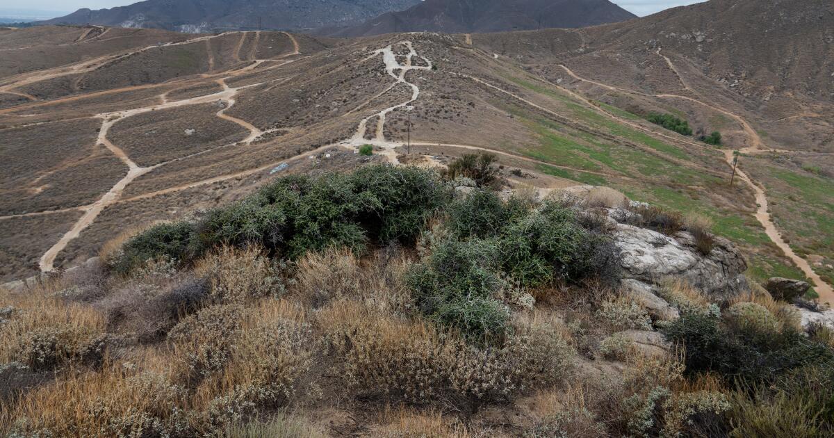 Development fight centers on California's oldest plant