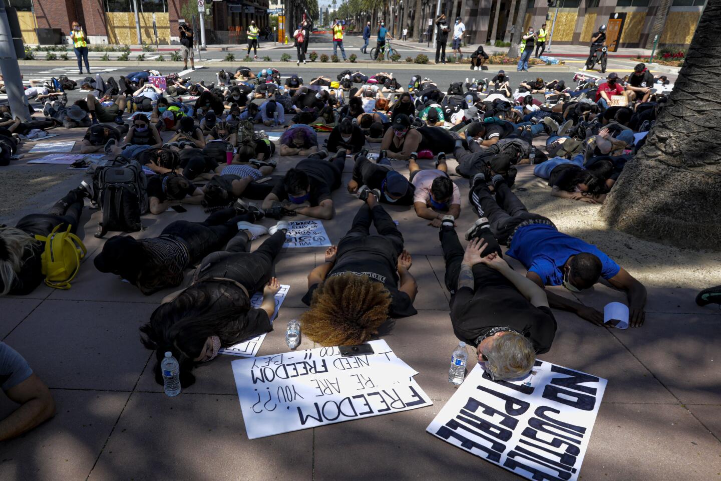 Anaheim protest