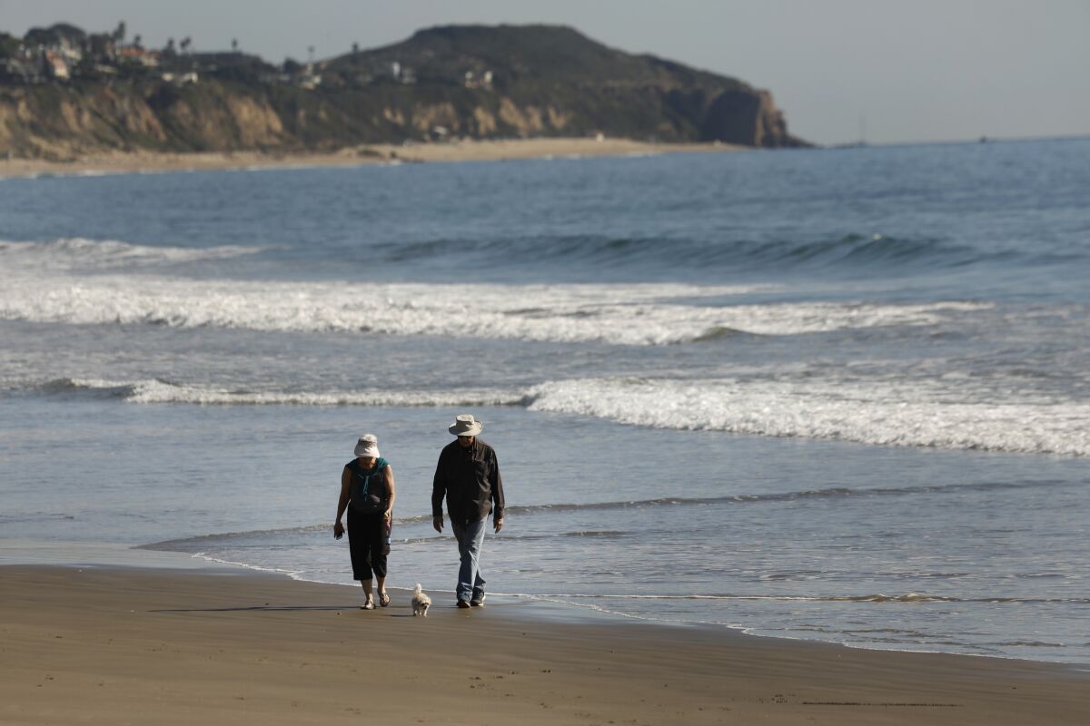 A man and woman walk their dog on the beach.