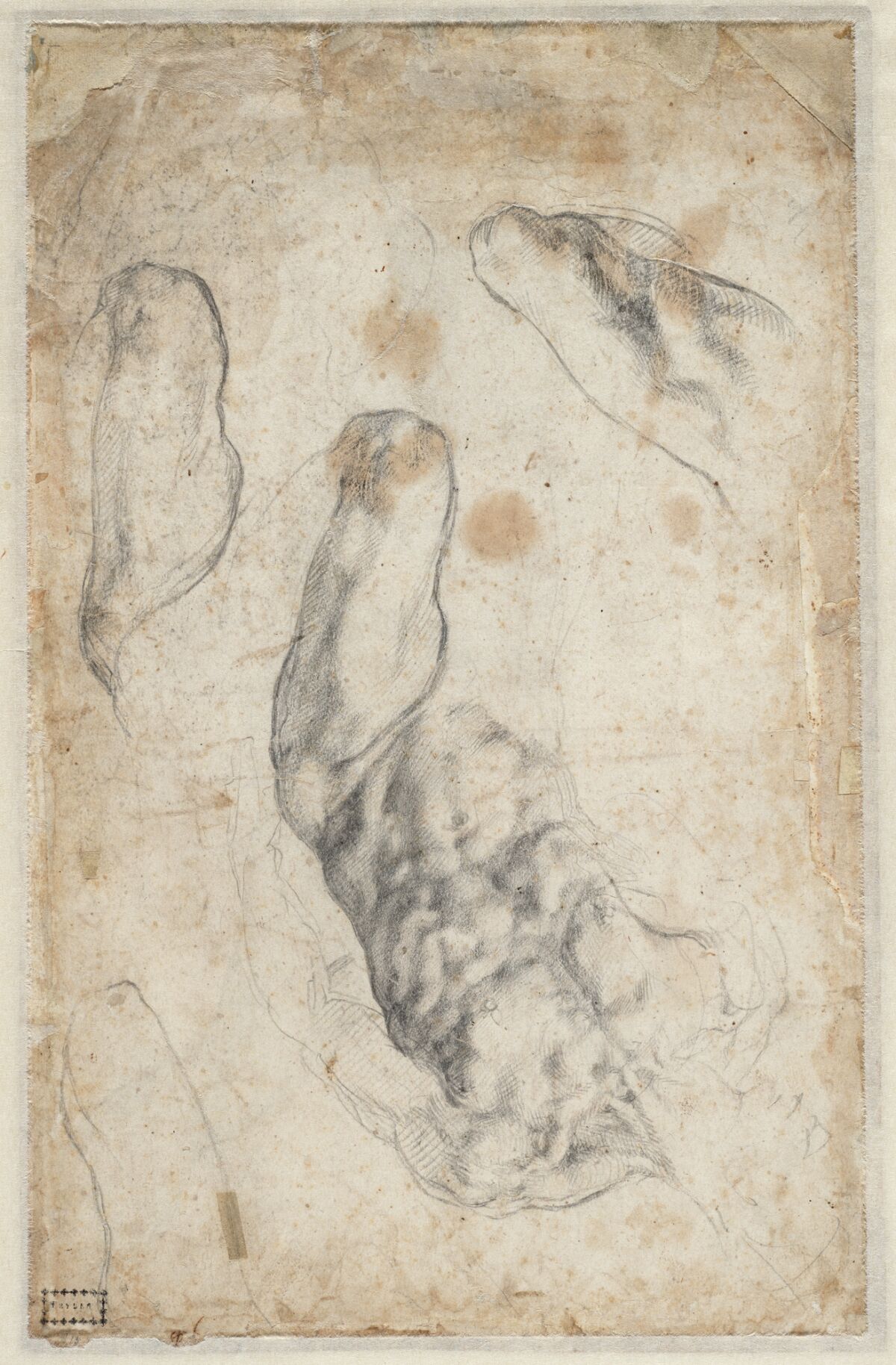Michelangelo, "Torso and Left Leg of a Male Nude," circa 1504-06, black chalk.