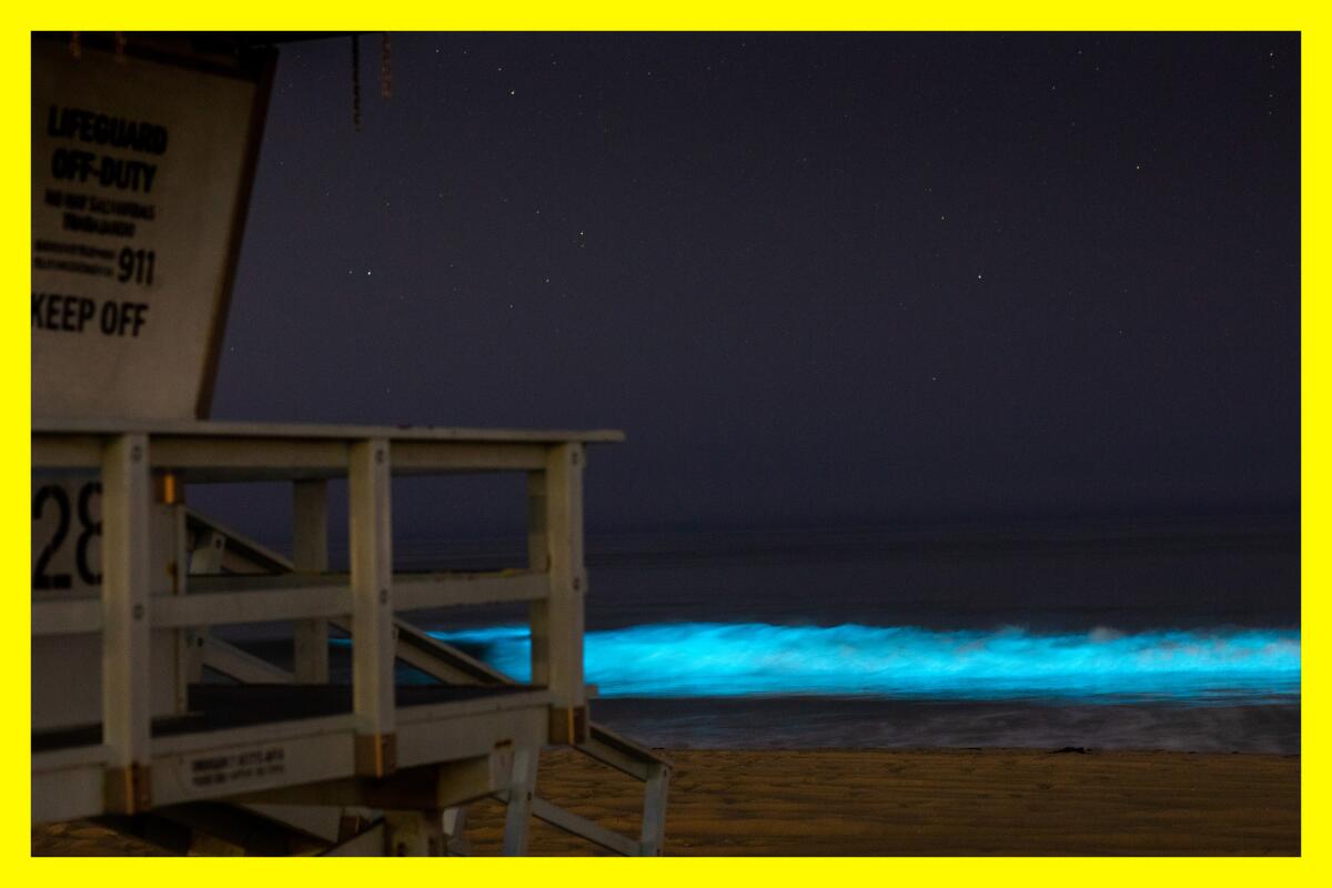 The beach at night with a blue glow in the surf
