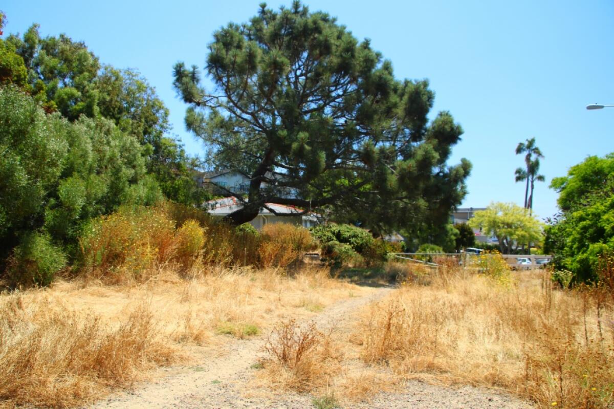 Features of a new park on this site in Point Loma may include drought-resilient plants and a public art piece.