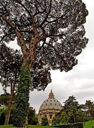 Vatican City Vatican City, the tiniest country in Continental Europe, is also the most influential. At the heart of it all is St. Peter's Basilica, built between 1506 and 1615 by famous architects, including Michelangelo, who designed the dome.