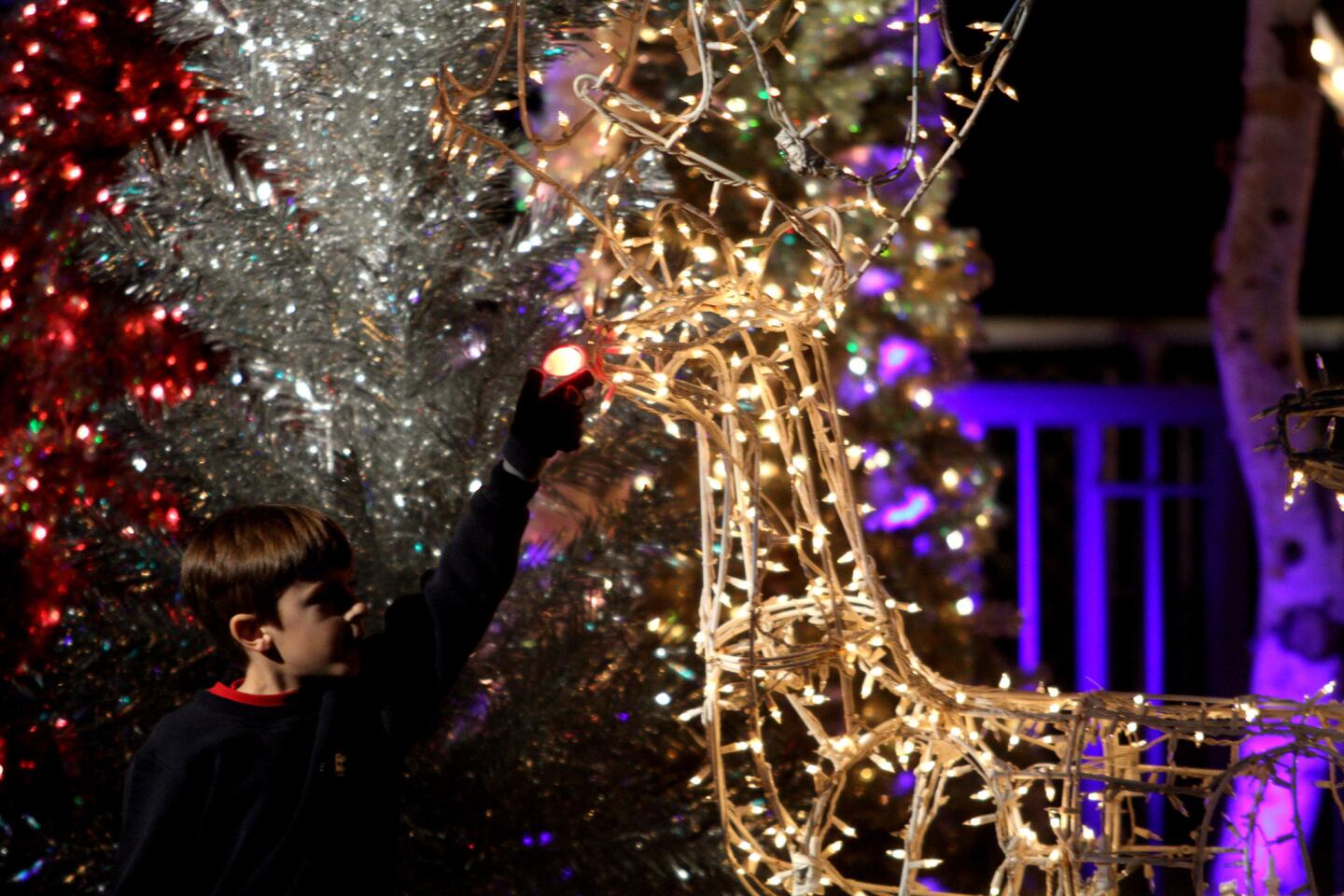 Photo Gallery: L.A. Zoo Lights