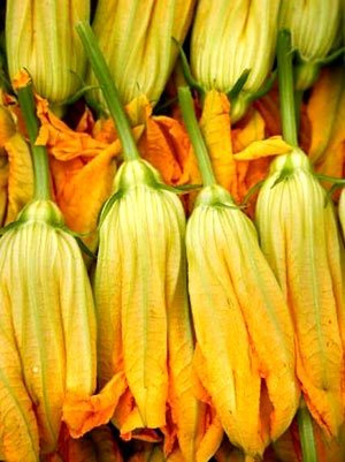 IN SEASON: The very best way to cook zucchini blossoms is to fry them.