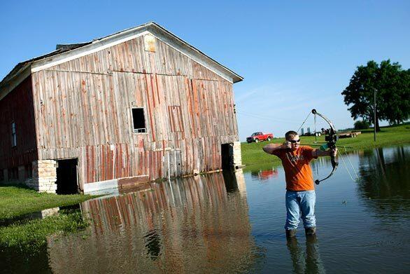 Josh Warning hunts for fish with a bow and arrow in a field flooded by the Mississippi River near La Grange, Mo.