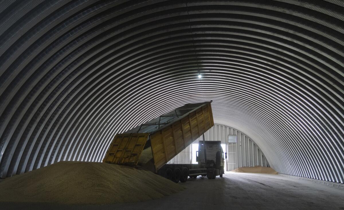 ARCHIVO - Un camión de volteo descarga grano en un silo el martes 9 de agosto de 2022