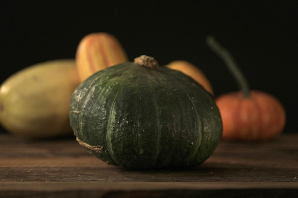Buttercup: This squash looks like a kabocha, but on the underside there is a telltale “cup” or ridge around the blossom scar. The flavor is mild; the texture is dense.